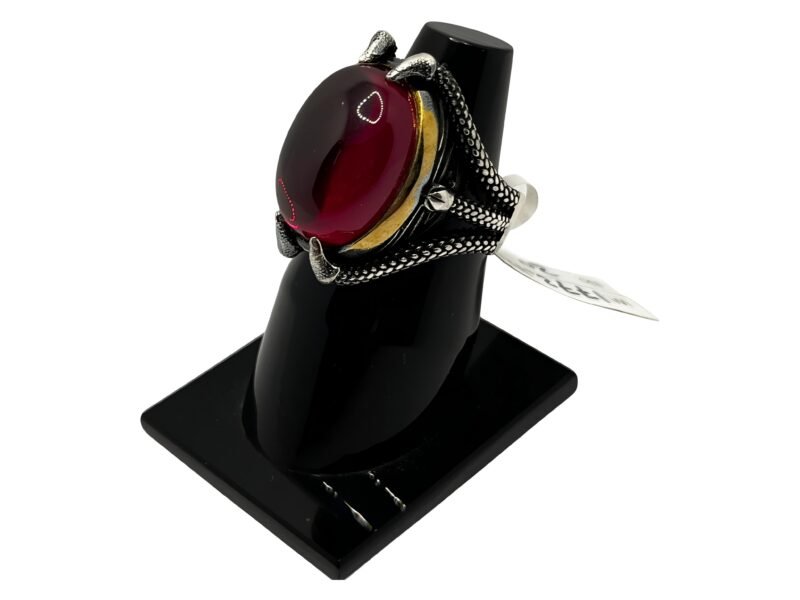 Picsart_25-04-15_17-09-35-963 Shynark Dragon Claw Statement Ring